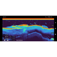 Poseidon Pulse (Red)