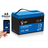 UBL-12-100 (LiFeP04)